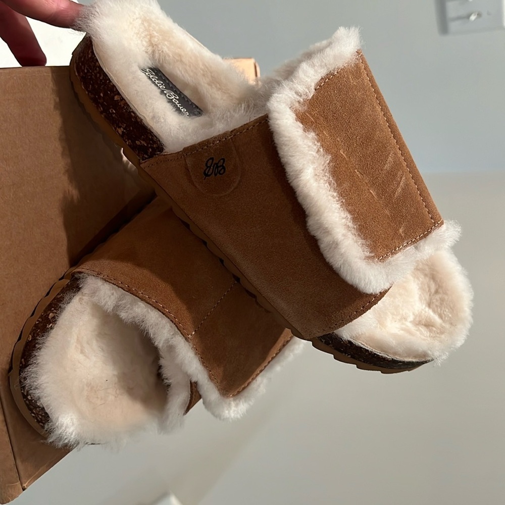 Eddie Bauer winter slides